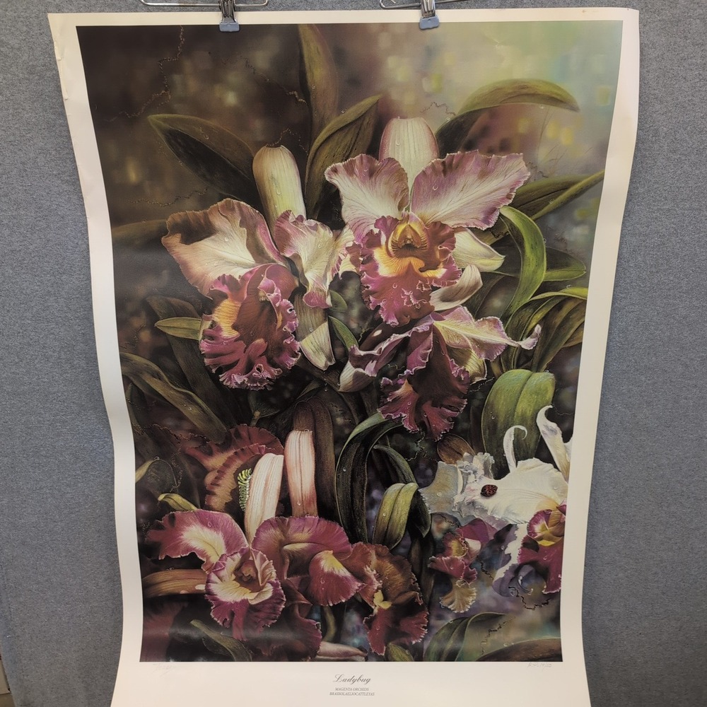 Sonia Torres Limit Ed Artist Print Ladybug Magenta Orchids Brassolaeliocattleyas - Picture 1 of 5
